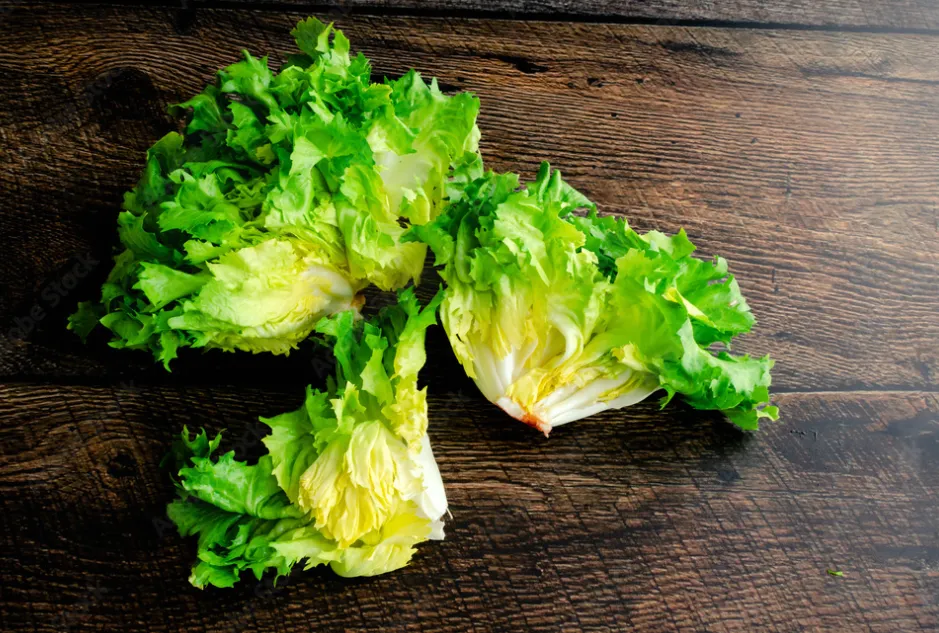 Cutting escarole on a chopping board