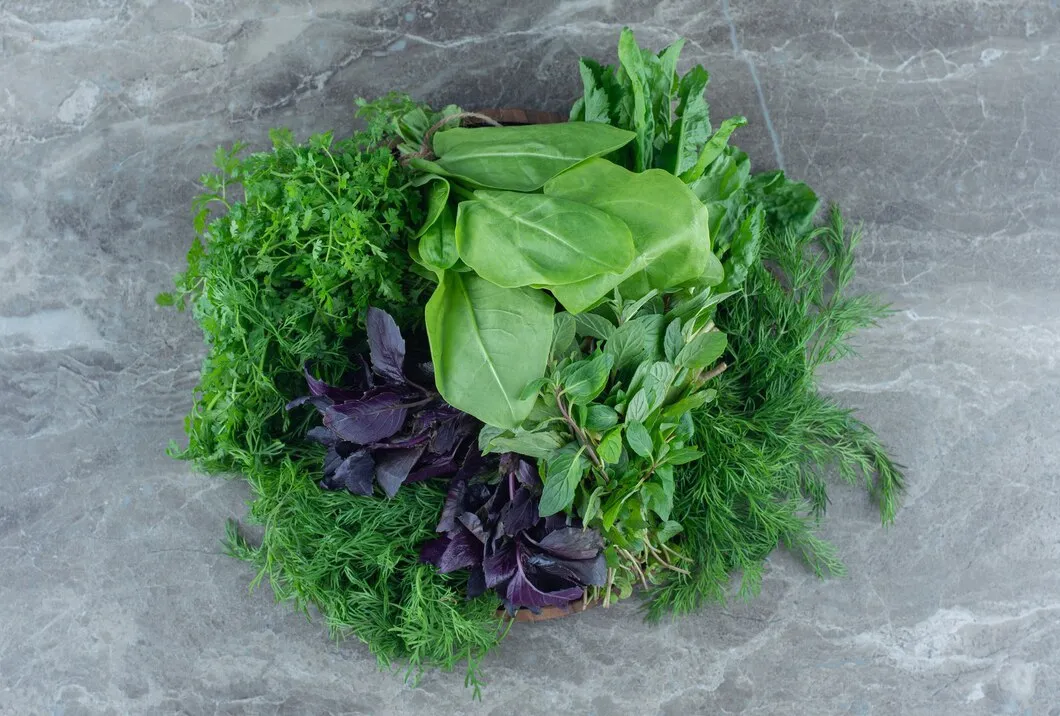 Fresh escarole leaves in a garden setting.