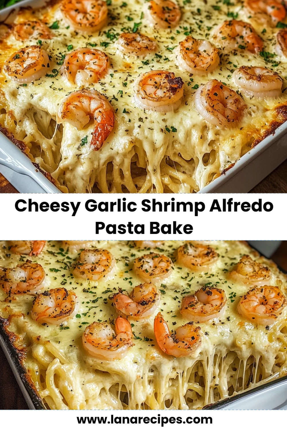 Cheesy Garlic Shrimp Alfredo Pasta Bake: A Comforting Family Favorite!