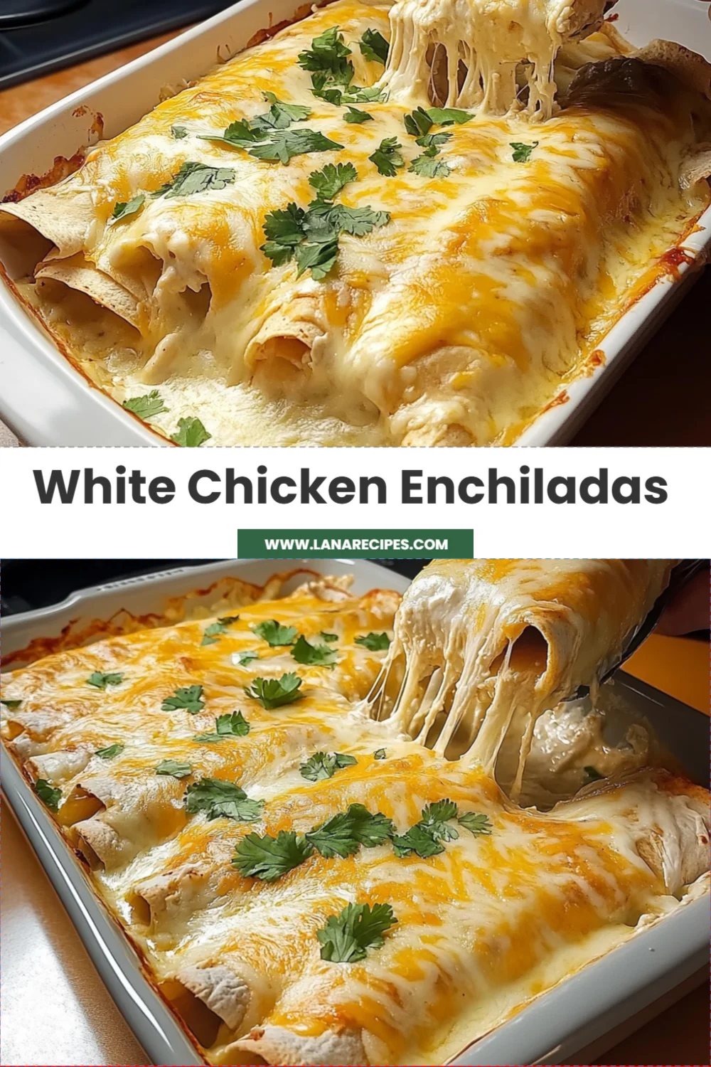 Deliciously Easy White Chicken Enchiladas Recipe for a Cozy Dinner Night!
