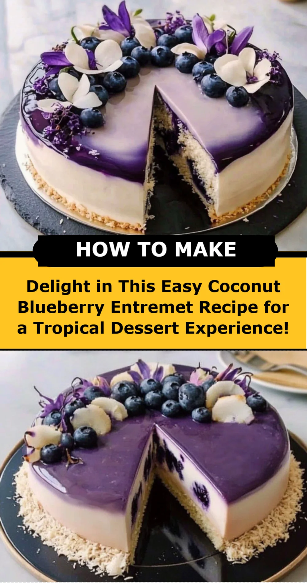 Delight in This Easy Coconut Blueberry Entremet Recipe for a Tropical Dessert Experience!