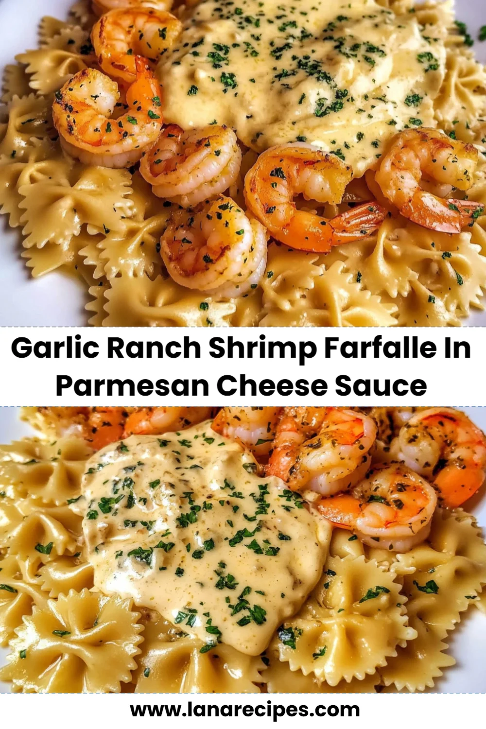 Creamy Garlic Ranch Shrimp Farfalle in Parmesan Cheese Sauce Ready in 30 Minutes!